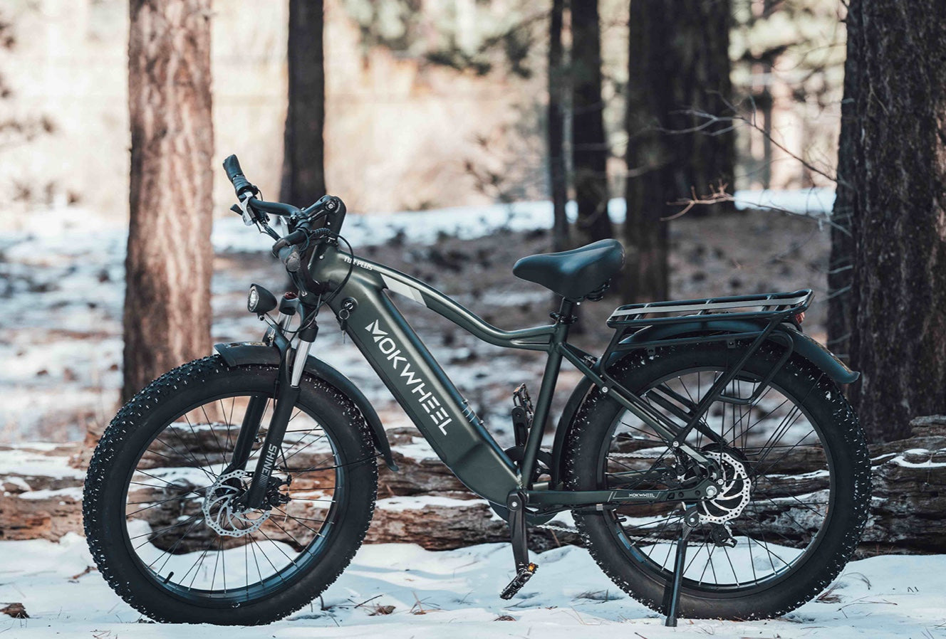 ebike recommendations
